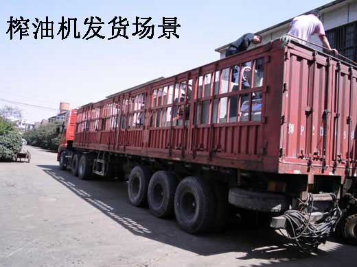 雙象榨油機(jī)的效果怎么樣？